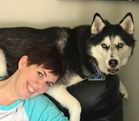 Sierra, the Siberian Husky, is a Cancer Sniffing Dog