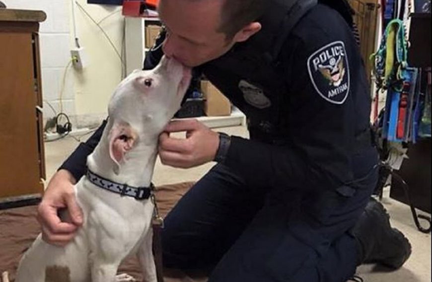 Dog Hit by Train Rescued by Police Officer