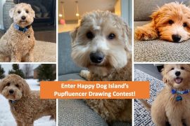 Enter the Pupfluencer Drawing Contest