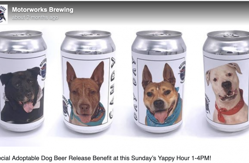 Motorworks Brewery Supports Dog Rescue