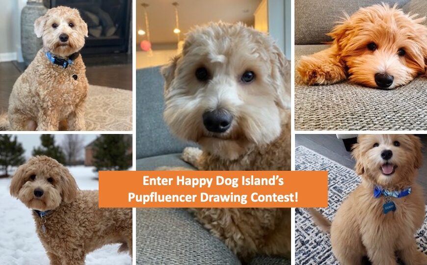 Enter the Pupfluencer Drawing Contest