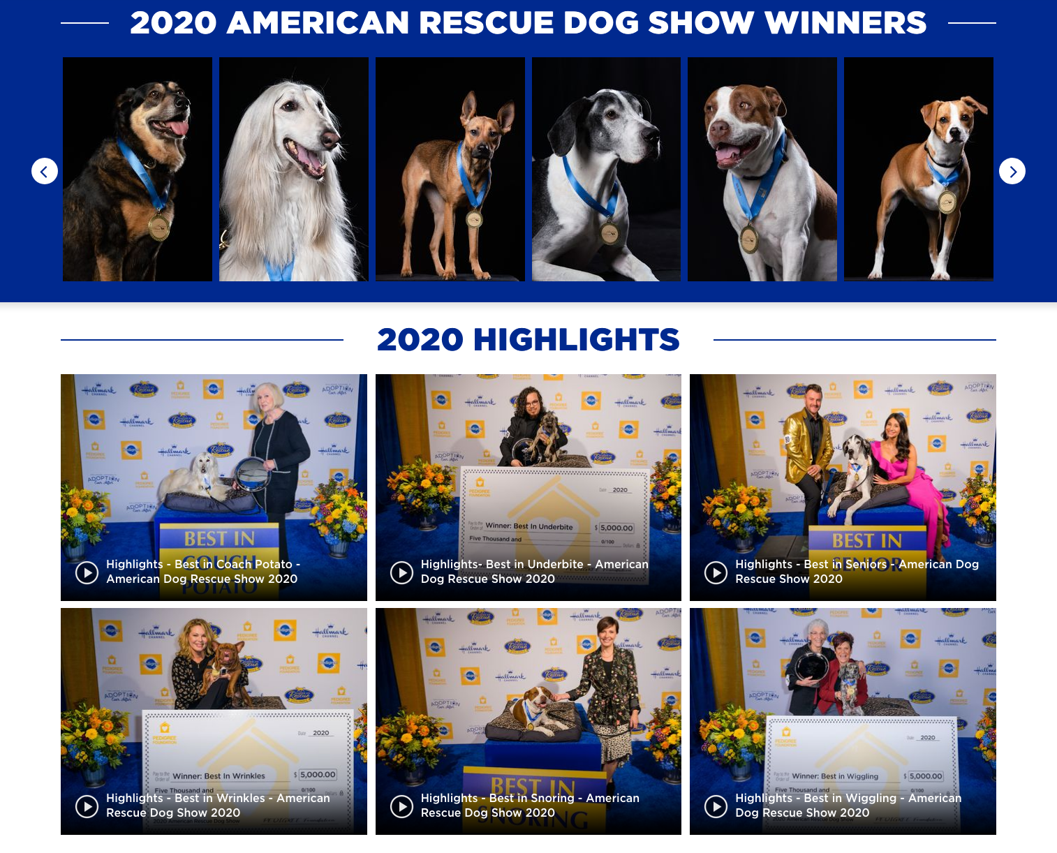 Rescue Dog Show