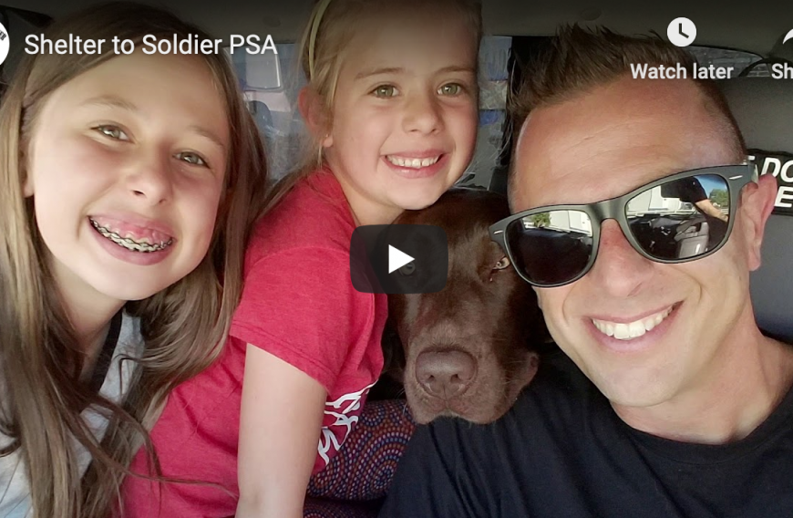 Shelter to Soldier Non-Profit Organization Connecting Trained Rescue Dogs to Post 9/11 Combat Veterans