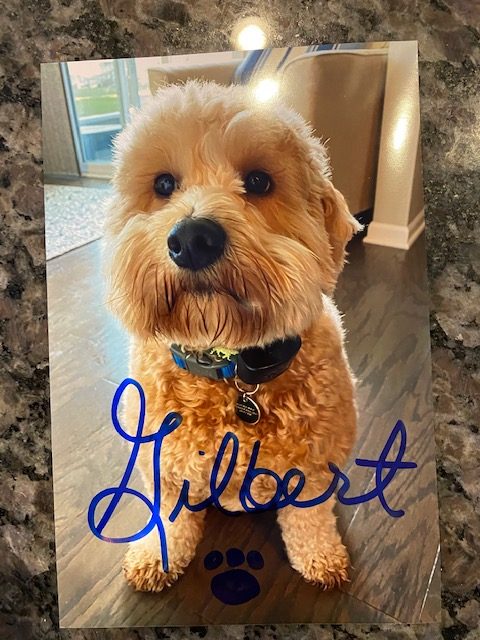 autographed photo of Gilbert - Drawing Contest Prize