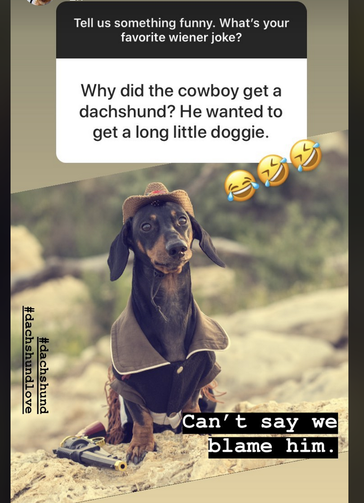 A Cowboy and His Wiener