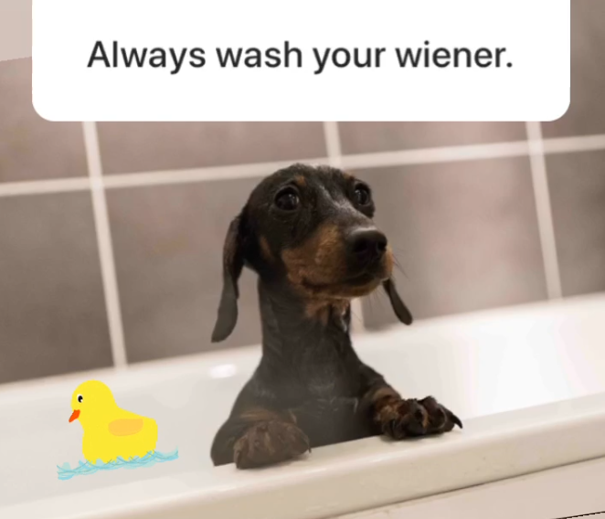 The Funniest Wiener Jokes