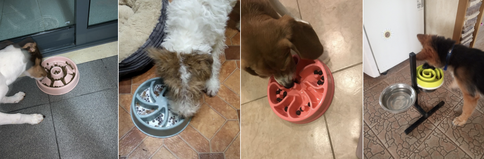 Slow Feeder Dog Bowl Review - Customer Photos