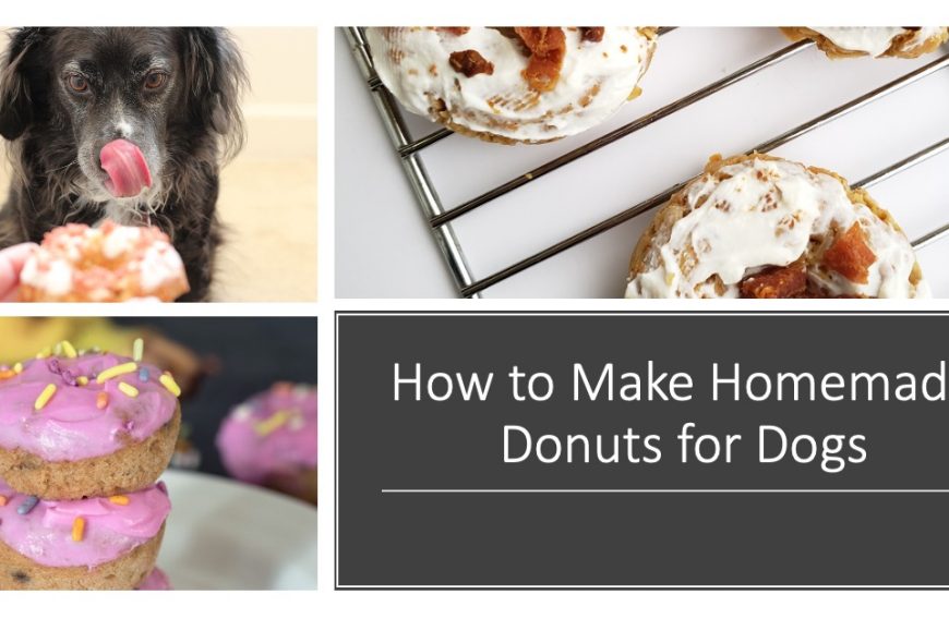 How to Make Donuts for Dogs