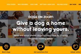 Dog Adoption through Zoom by Pedigree