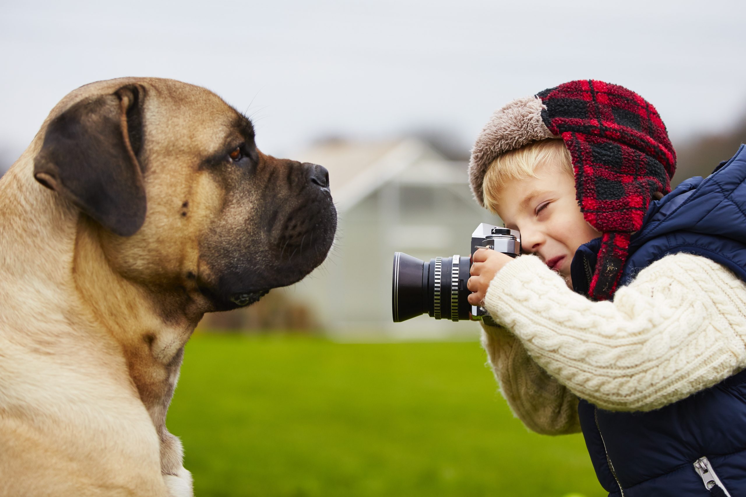 Dog Photography Tips