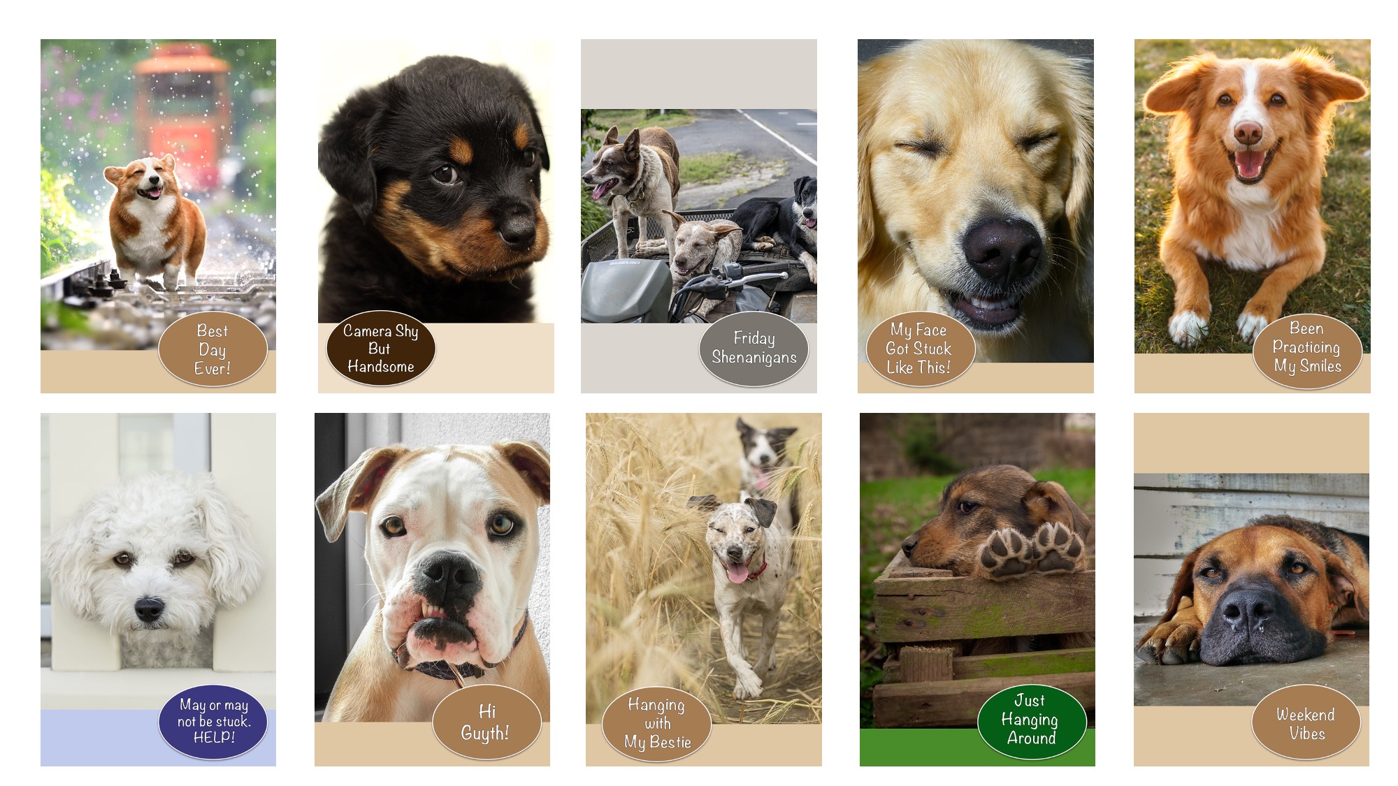 fe-pinterest-pins Editable Pinterest Pins with Commercial License