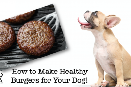 Dog Burgers Recipe - Healthy Homemade Burgers for Dogs