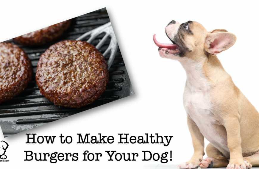 Dog Burgers Recipe - Healthy Homemade Burgers for Dogs