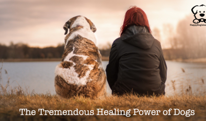 How Dogs Help Us Heal