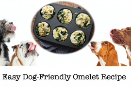 Easy Dog Friendly Omelet Recipe