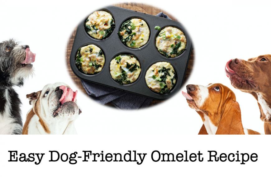 Easy Dog Friendly Omelet Recipe