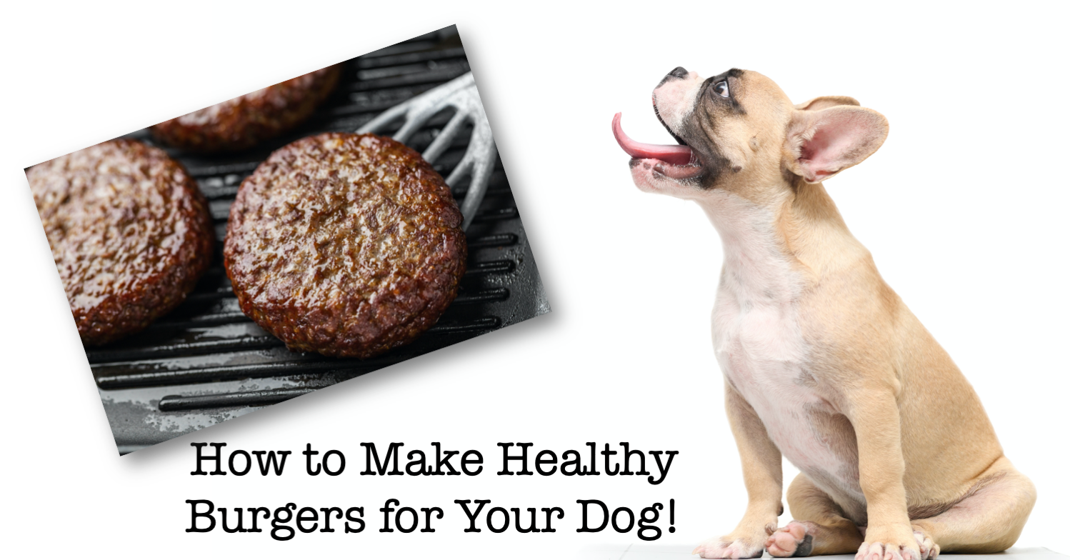 How to Make Healthy Burgers for Your Dog