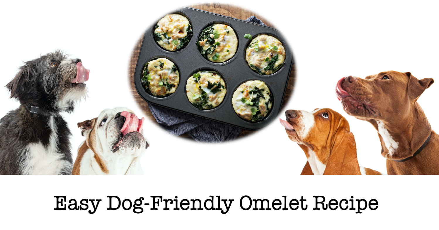 Omelets for Dogs Recipe