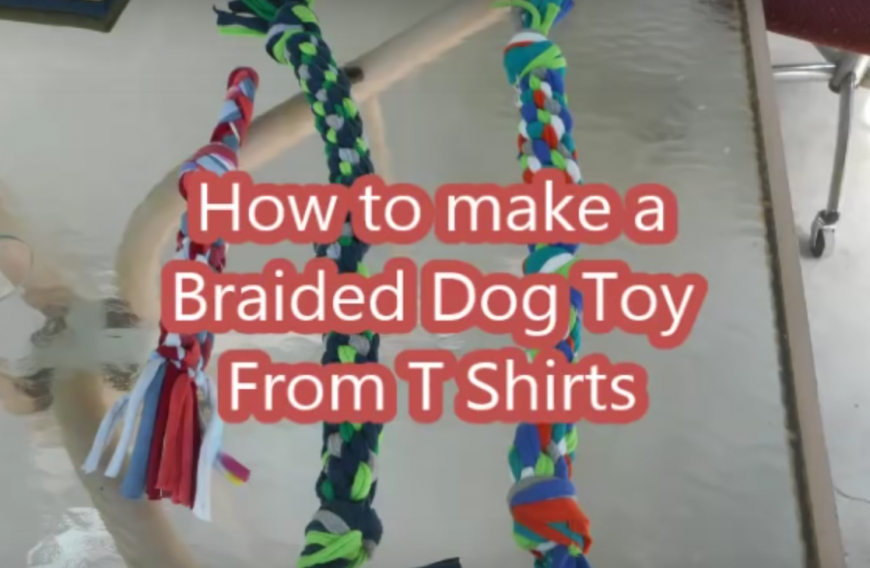 How to Make a Dog Toy from a T-Shirt